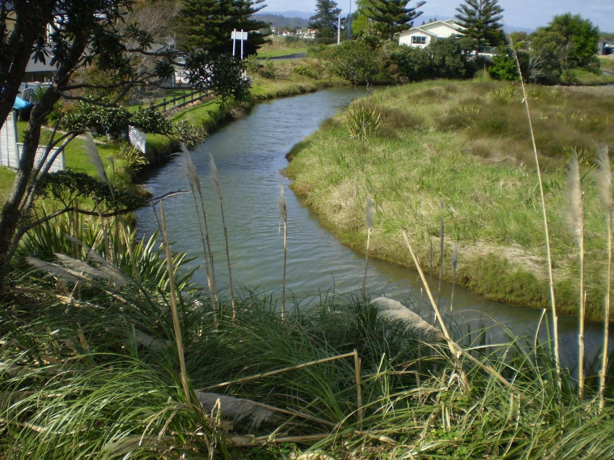 Whitianga Campground Exterior photo