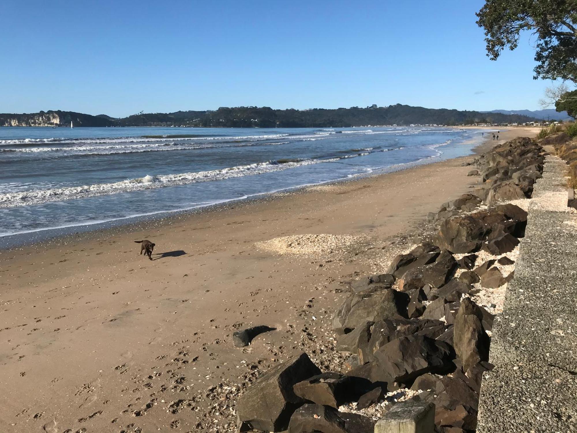 Whitianga Campground Exterior photo
